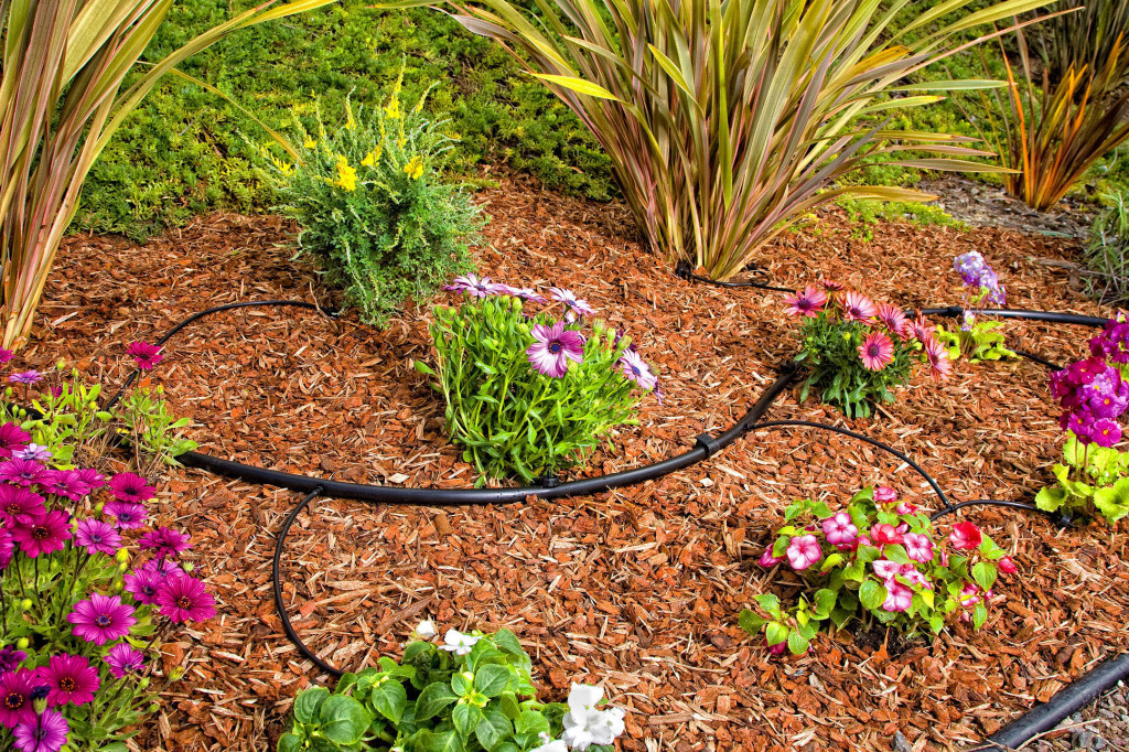 Best Drip Irrigation System for 2018 – Complete Buyers ...